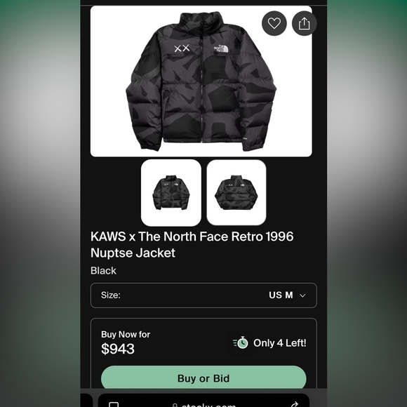 KAWS North Face Coat - Picture 6 of 10